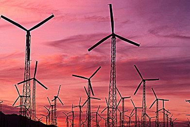 《丛林之中》11月10日Steam正式发售 开放世界丛林冒险